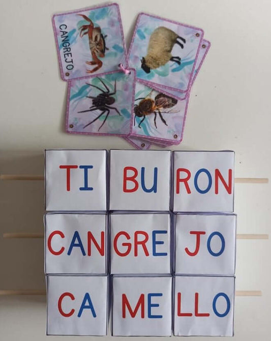 Dados Lecto | Ladycraft