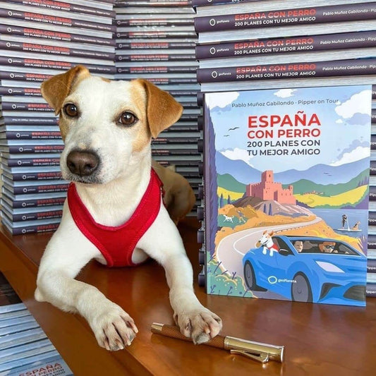 ESPAÑA CON PERRO 200 planes con tu mejor amigo | PABLO MUÑOZ
