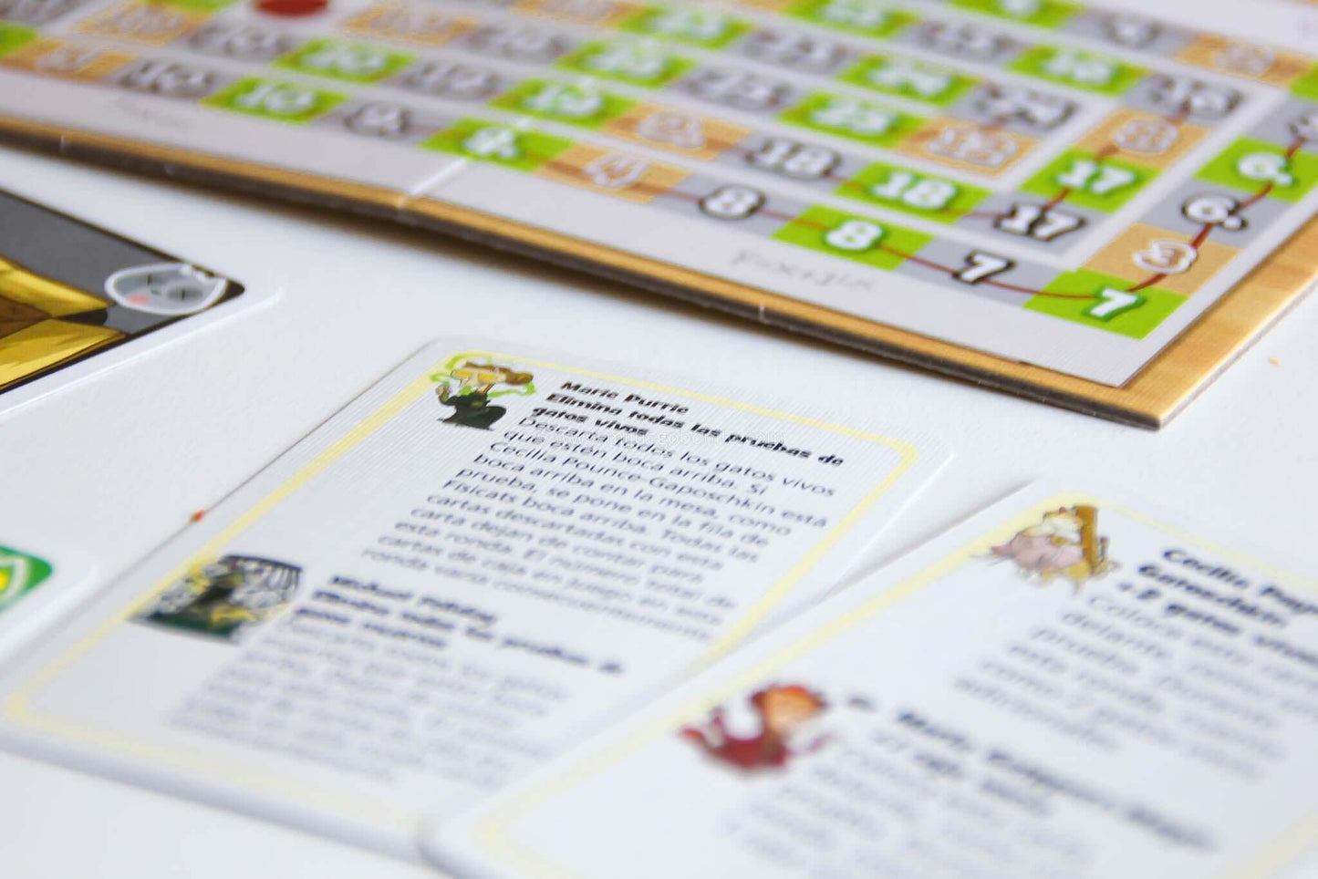 LOS GATOS DE SCHRÖDINGER - Juego de mesa - Mercurio - Desde 9 o más años Board Games