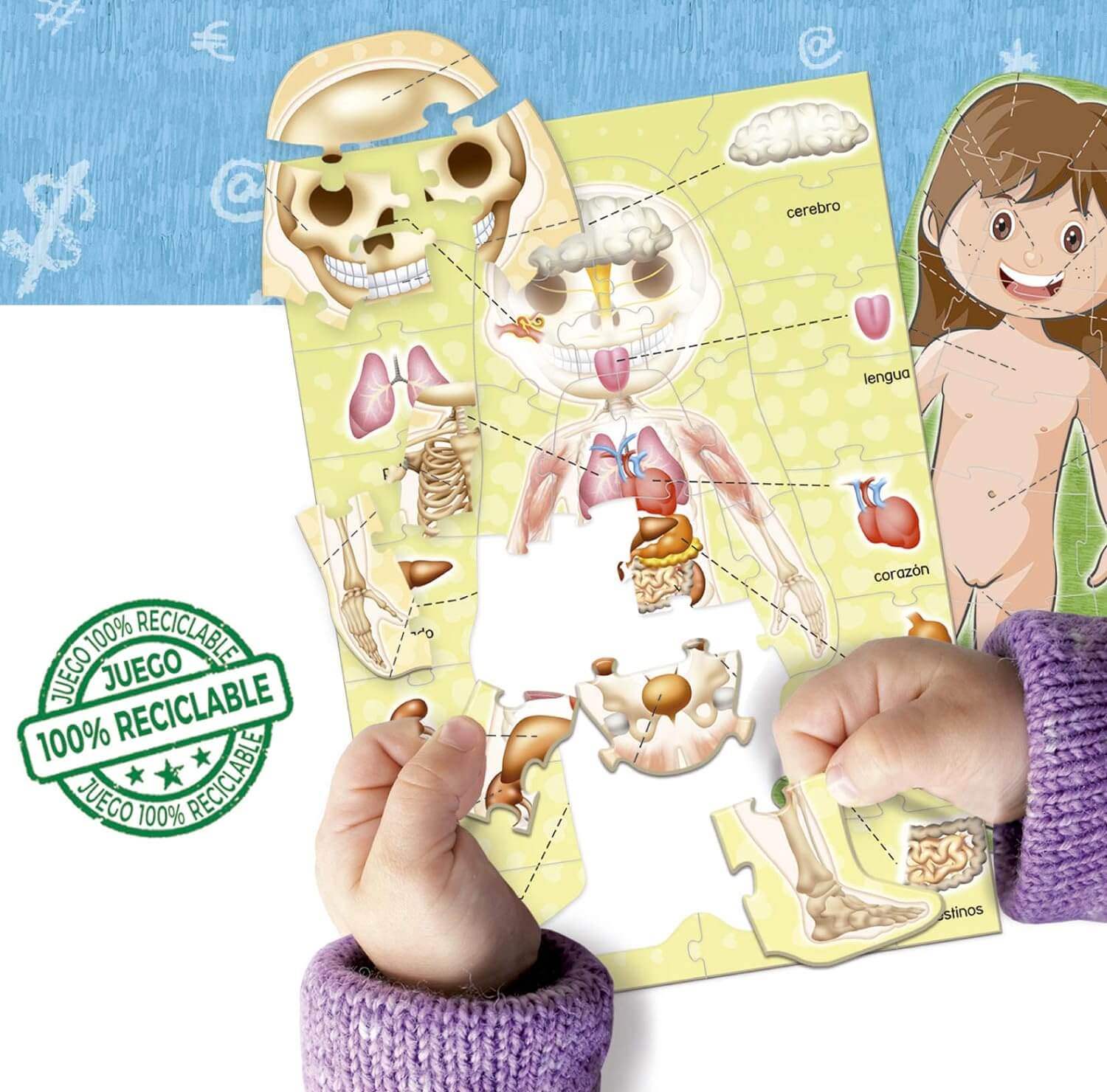 El Cuerpo Humano | Juego educativo | Desde 4 años | Educa Board Games