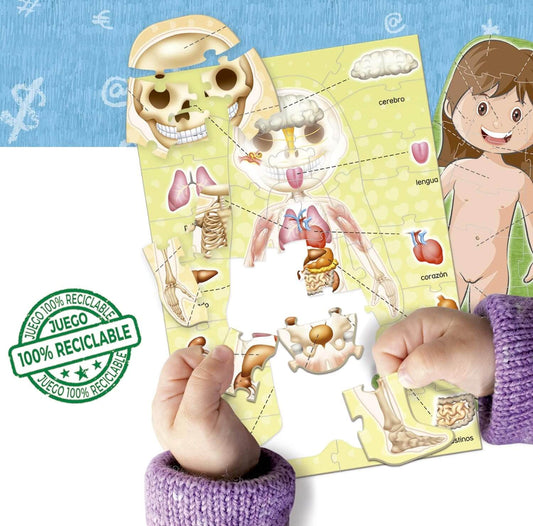 El Cuerpo Humano | Juego educativo | Desde 4 años | Educa Board Games