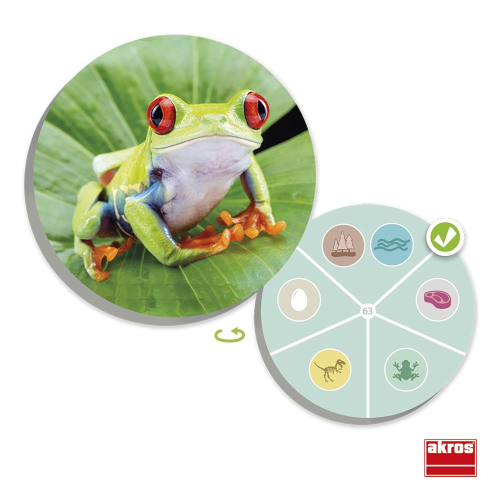 Juego de mesa el mundo animal: descubre y clasifica Toys