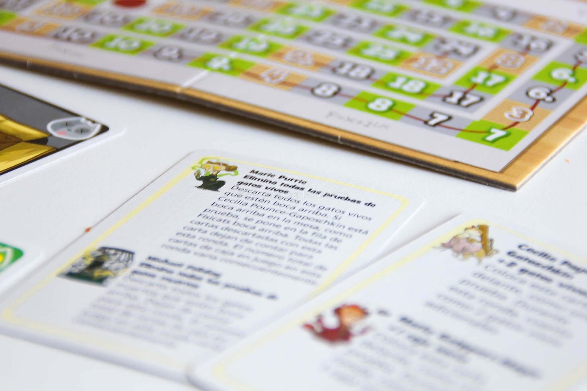 LOS GATOS DE SCHRÖDINGER - Juego de mesa - Mercurio - Desde 9 o más años Board Games