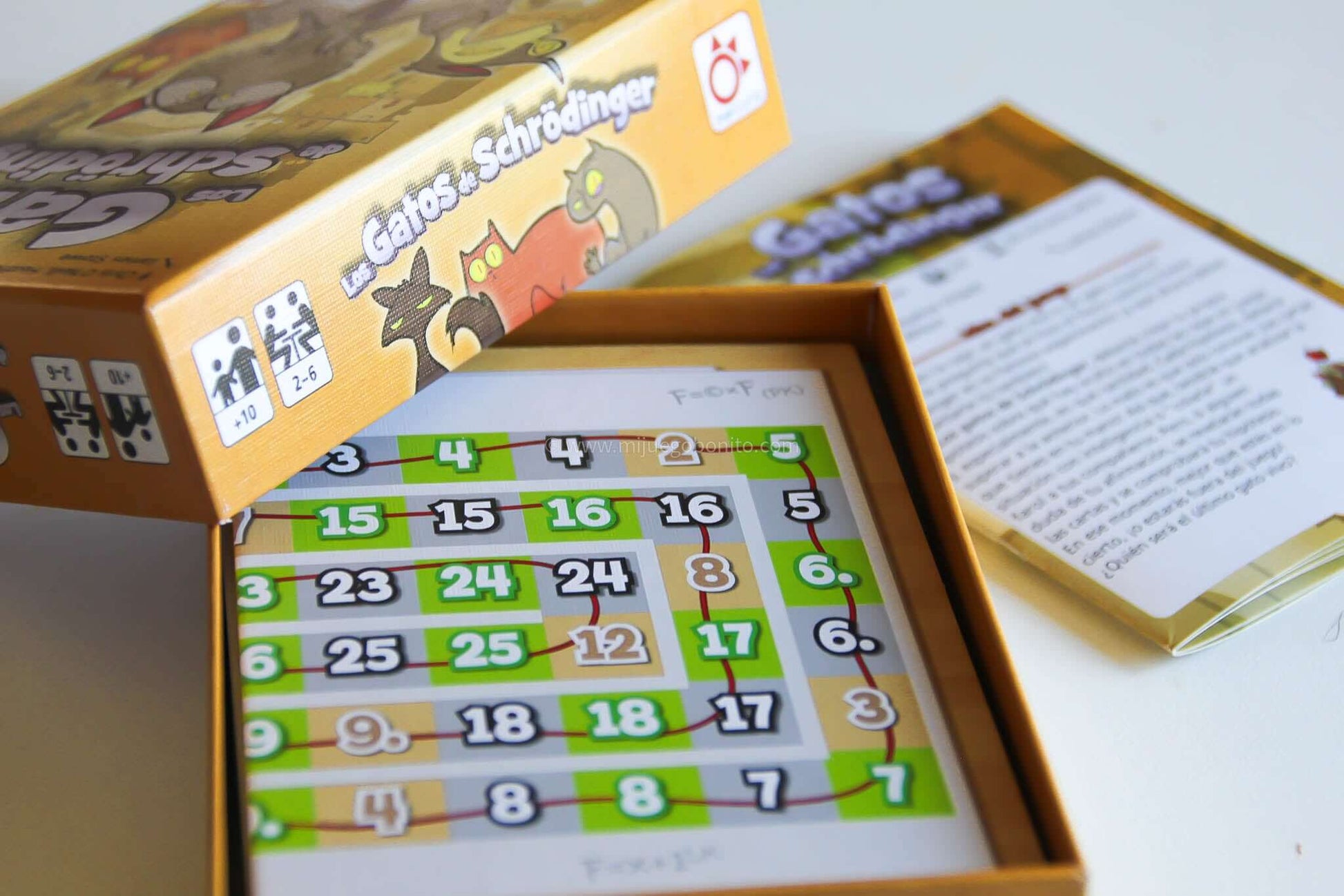 LOS GATOS DE SCHRÖDINGER - Juego de mesa - Mercurio - Desde 9 o más años Board Games