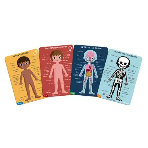 Puzzle Educativo Cuerpo Humano | +5 años | Janod