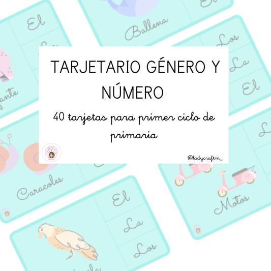 Tarjetario Género y Número | Ladycraft E-Books