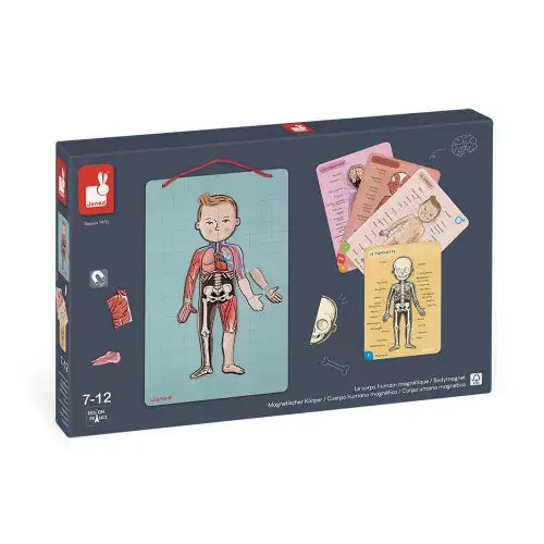 Bodymagnet en 12 idiomas | +7 años | Janod Educational Toys