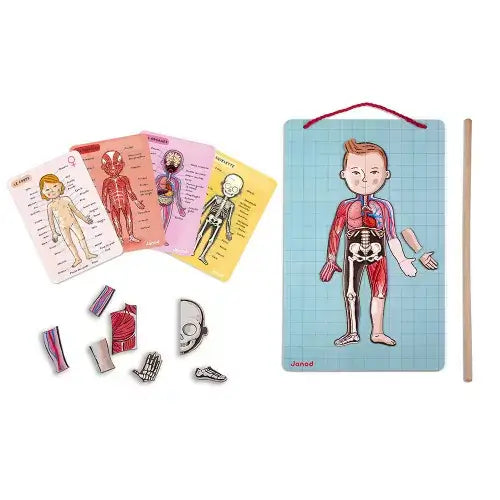 Bodymagnet en 12 idiomas | +7 años | Janod Educational Toys