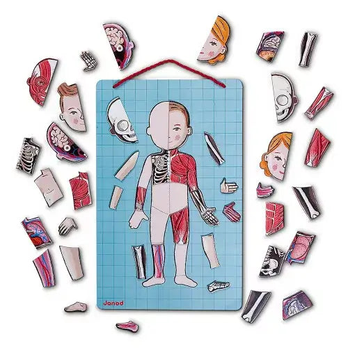 Bodymagnet en 12 idiomas | +7 años | Janod Educational Toys