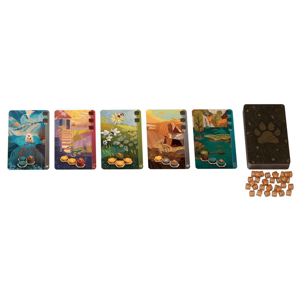 Harmonies - Juego de mesa - Asmodee - Desde 10 años - 1 a 4 jugadores