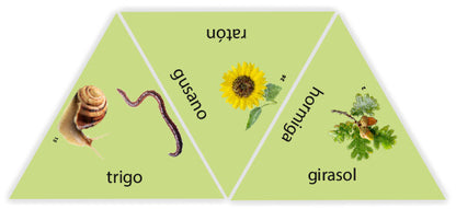 Learning Star Bosque Campo y Prado - Juego de mesa - Haba - 1 jugadores - 8+ años - 10 min
