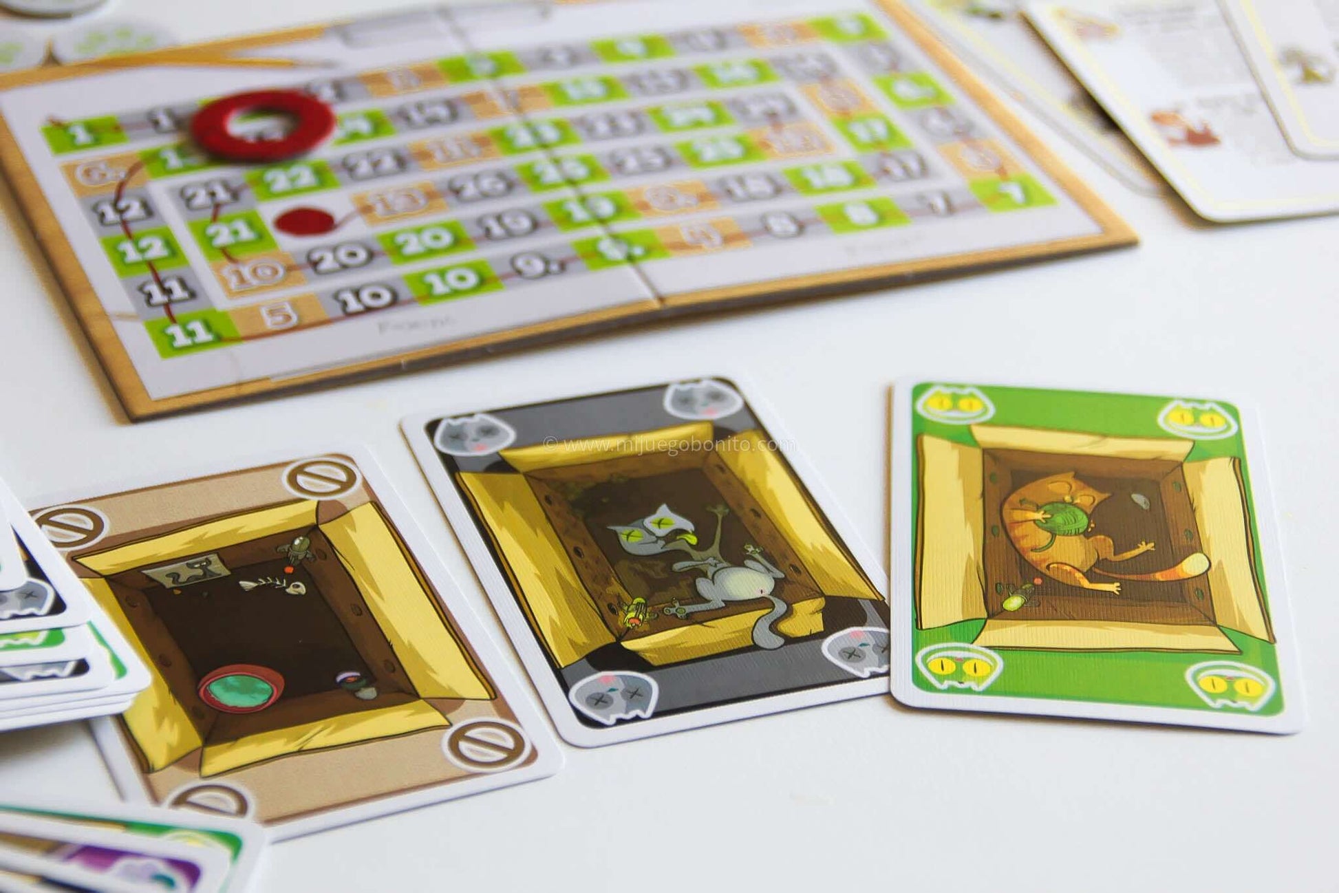 LOS GATOS DE SCHRÖDINGER - Juego de mesa - Mercurio - Desde 9 o más años