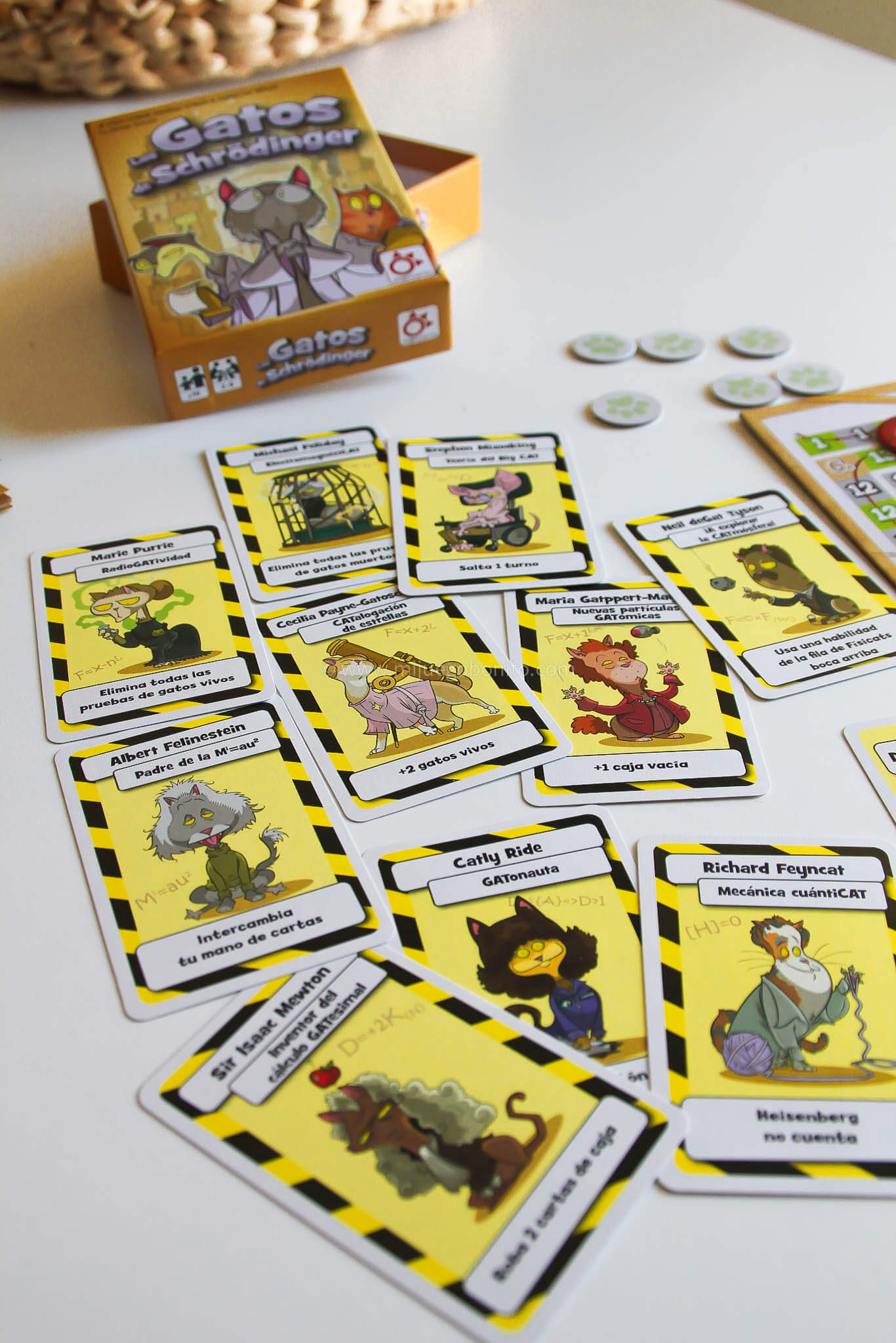 LOS GATOS DE SCHRÖDINGER - Juego de mesa - Mercurio - Desde 9 o más años