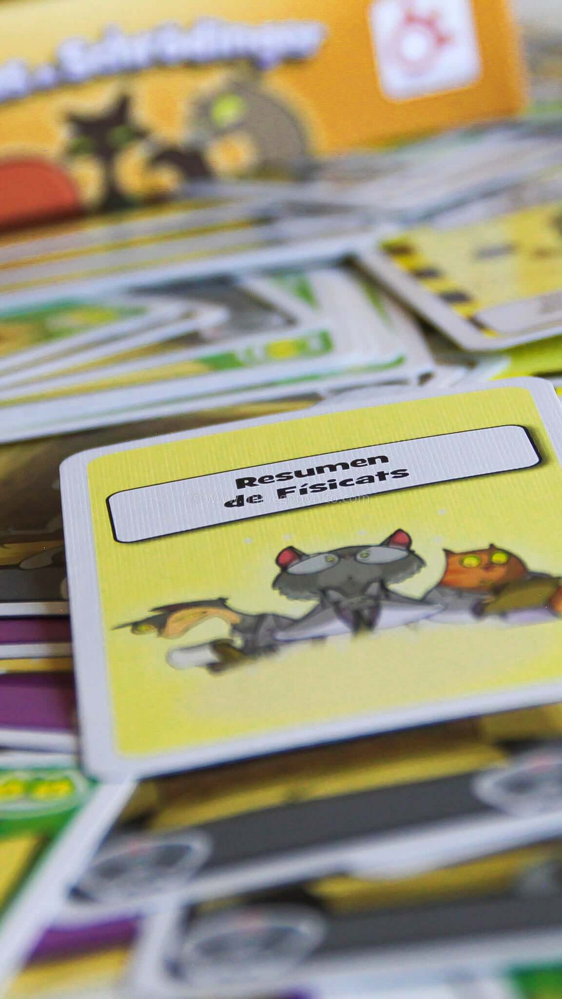 LOS GATOS DE SCHRÖDINGER - Juego de mesa - Mercurio - Desde 9 o más años