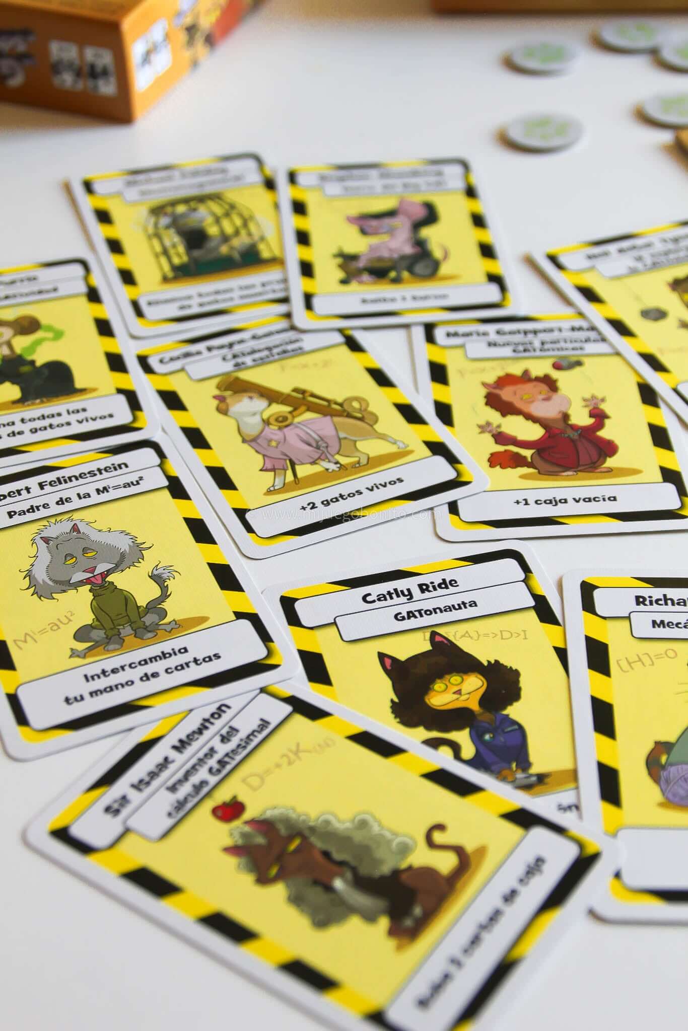 LOS GATOS DE SCHRÖDINGER - Juego de mesa - Mercurio - Desde 9 o más años
