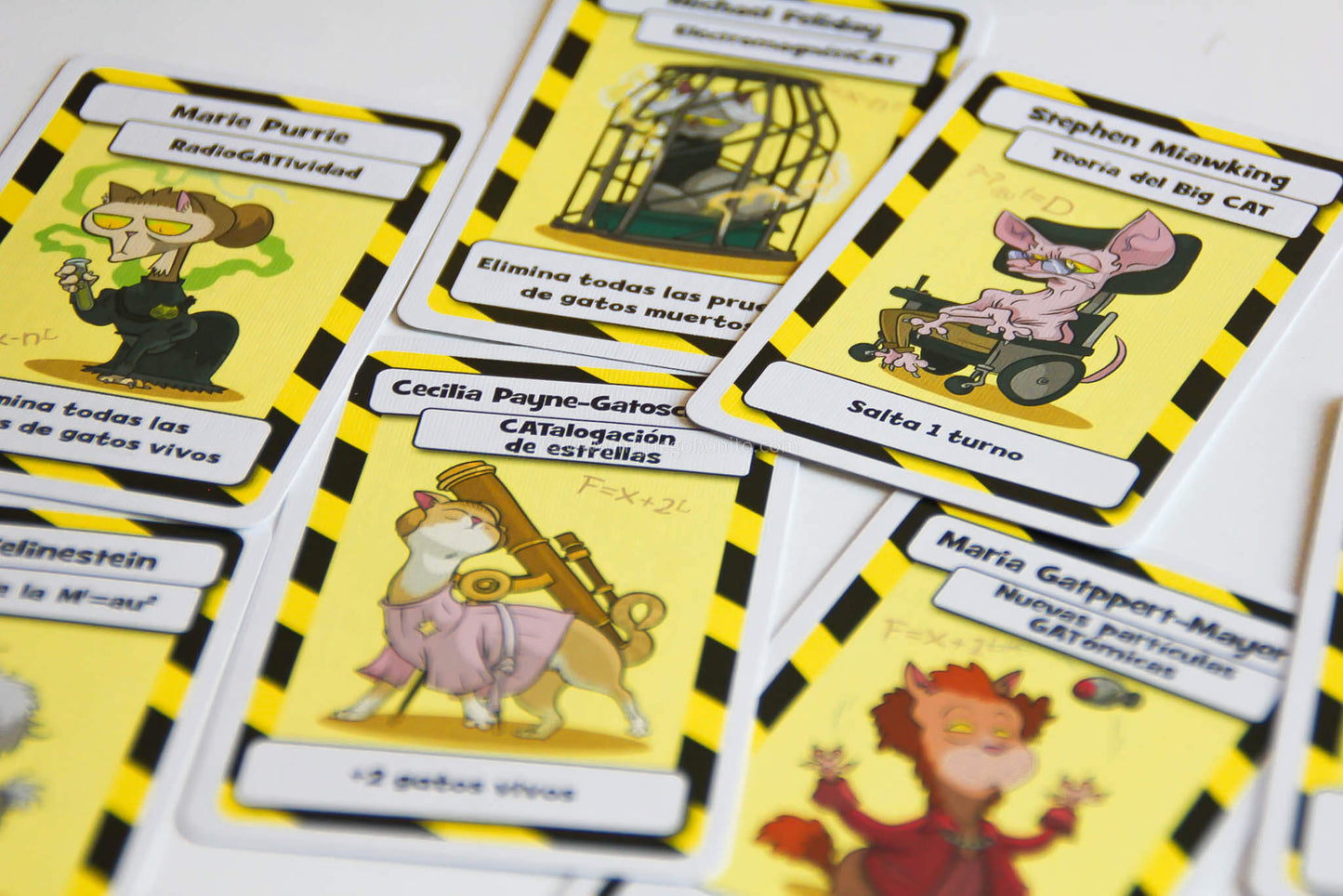 LOS GATOS DE SCHRÖDINGER - Juego de mesa - Mercurio - Desde 9 o más años