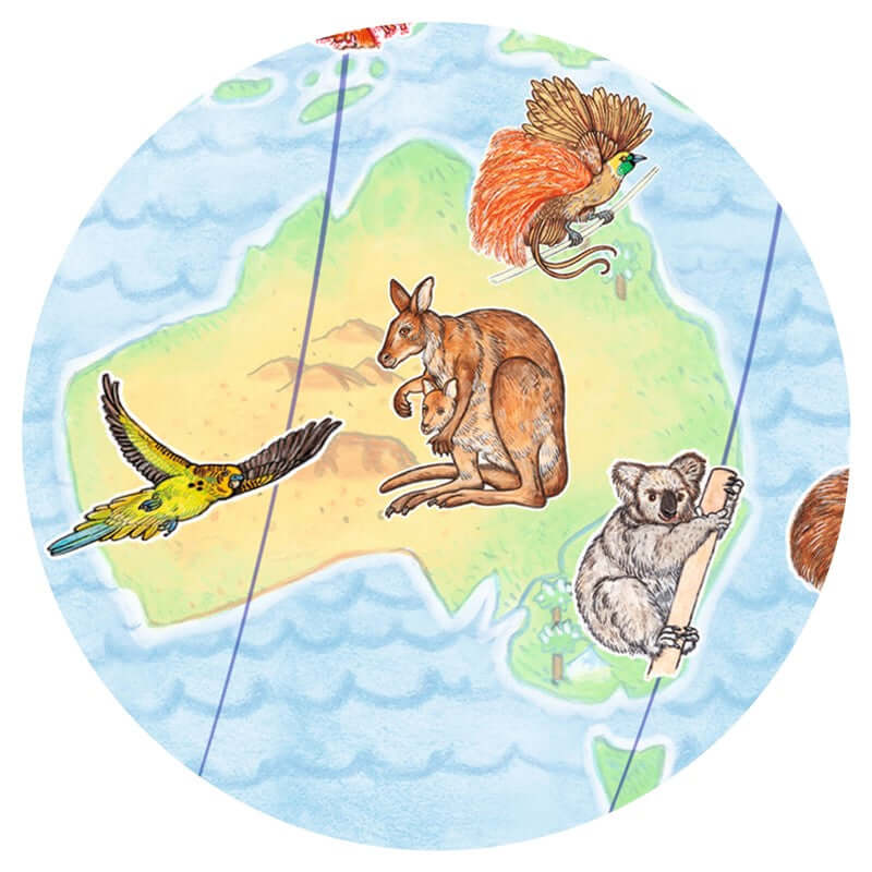Puzzle Observación Animales del Mundo 100 piezas - Djeco +5 años Jigsaw Puzzles