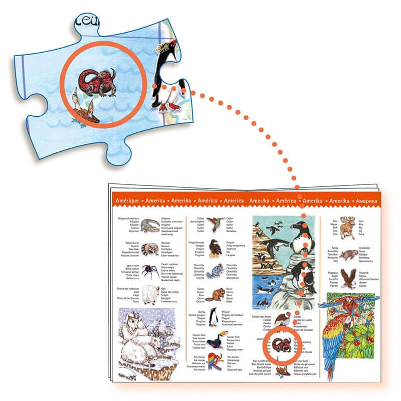 Puzzle Observación Animales del Mundo 100 piezas - Djeco +5 años Jigsaw Puzzles