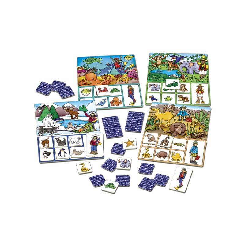 Where do I live? - Juego de mesa - Orchard Toys - Desde 3 años Board Games