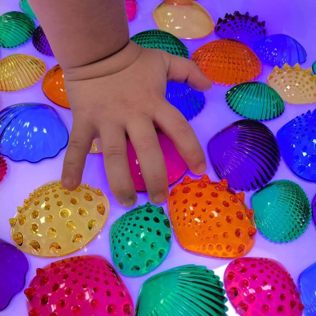 Conchas sensoriales translúcidas de colores (108 PCS) - Edx Education Educational Toys
