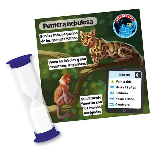 BrainBox Animales - Juego de mesa - Asmodee - Desde 8 años Board Games